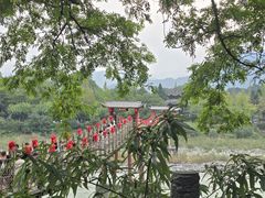 -都江堰景区