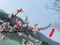 -孙武文化园-停车场