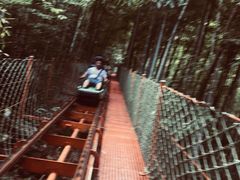 -藏龙百瀑风景区