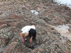 -兴城海滨风景区