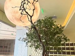 -静耳元気采耳·按摩·SPA(万象前海店)