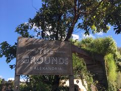 -The Grounds of Alexandria