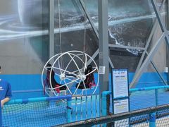 -超时空蹦床团建·VR潮玩运动娱乐·生日派对游乐园(金桥店)