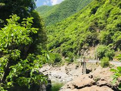 -黑河国家森林公园