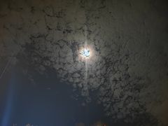 -销魂美蛙鱼头火锅(上海首店)