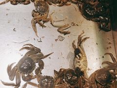 -欢乐牧场海鲜烤肉自助(牡丹园店)