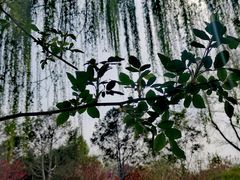 -丰台花园