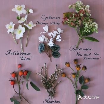 岁月如花，笑看花开，静赏花落是人生的一种极致