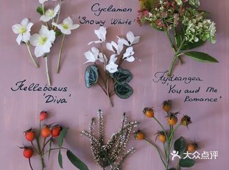 岁月如花，笑看花开，静赏花落是人生的一种极致