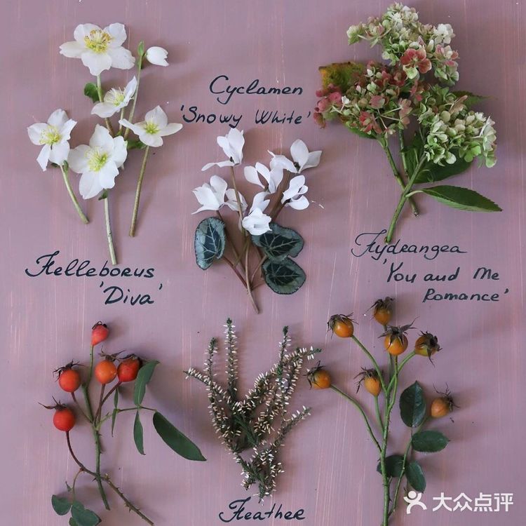 岁月如花，笑看花开，静赏花落是人生的一种极致