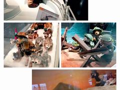 -济州岛泰迪熊博物馆