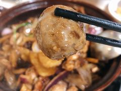 -胡须佬鸡煲四季火锅(龙珠大道店)