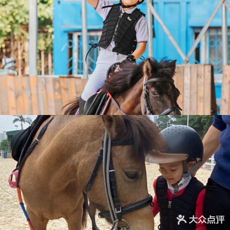 可是今天告诉大家，娃娃也可以培养马术的呢！