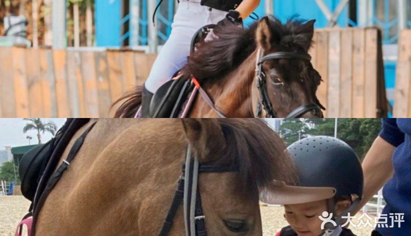 可是今天告诉大家，娃娃也可以培养马术的呢！