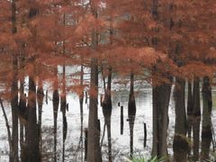 -白鹭湾湿地公园