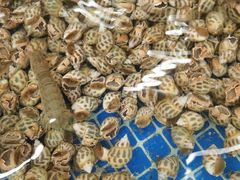 -新欢海鲜坊(赖屋店)