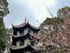 -成都杜甫草堂博物馆