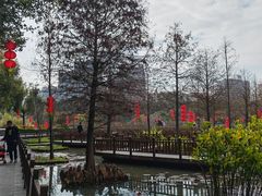 -五缘湾湿地公园
