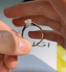 -钻石小鸟钻戒婚戒定制(石路店)