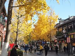 -南海渔村(珠江新城店)