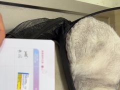 -汪喵宠物医院·骨科心脏影像·犬猫急重症ICU诊疗中心(成华分院)