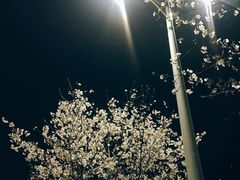 -钱塘江大桥