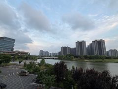 -苏州湾体育公园