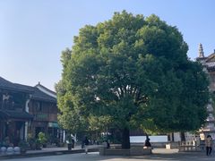 -香积寺