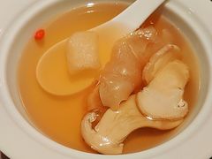 松茸瑶柱竹荪炖花胶-翠府(翠湖北路店)