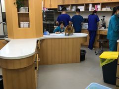 -联合动物医院(光谷诊疗中心)