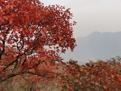 -周口店坡峰岭风景区