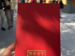 -龙华素斋(龙华路店)