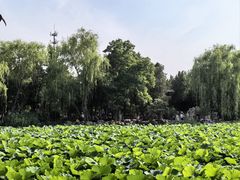 -莲池书院博物馆