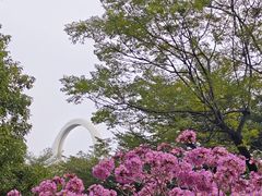 -点都德·毕德寮