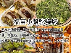 -福苗小骆驼烧烤(大唐不夜城店)