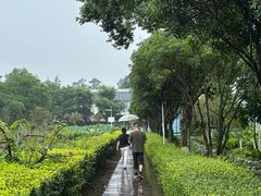 -洪湖家庭农场·团建·露营·会议