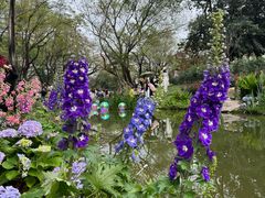 -人民公园(罗湖区)