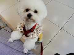 -全心全意连锁动物医院·特色中医诊疗(会城门分院)