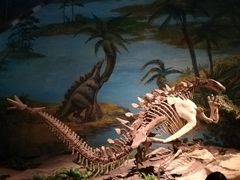 -自贡恐龙博物馆