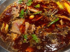 -蜀滋香鲜鱼美蛙火锅(339店)