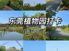 -东莞植物园