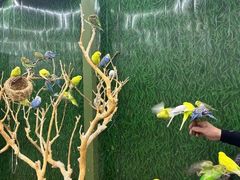 -荆州中山公园动物园