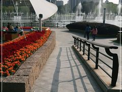-桐乡植物园