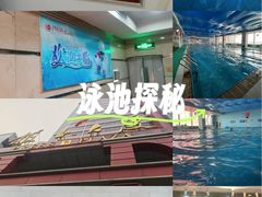 -报业大厦游泳馆