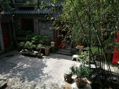 -老张烤羊(王哥庄店)