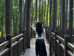 -东湖落雁景区