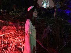 -南湖梦幻岛