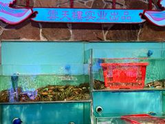 -云天楼国鼎喜宴中心(国鼎店)