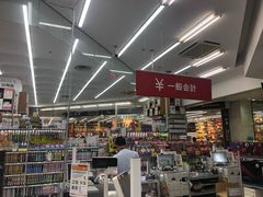 -Bic Camera (难波店)