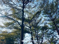 -田野绿世界